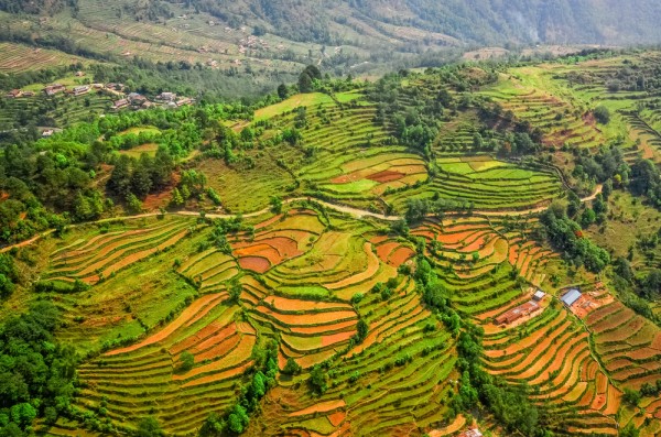Annapurna terraces