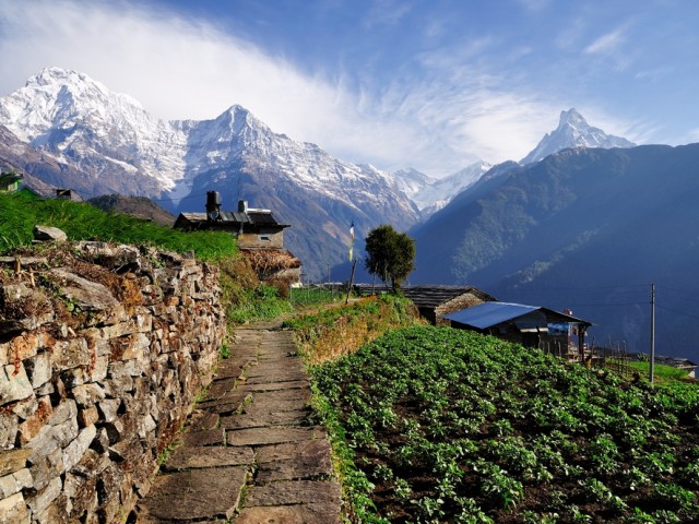 On the trail to the Annapurna Base Camp