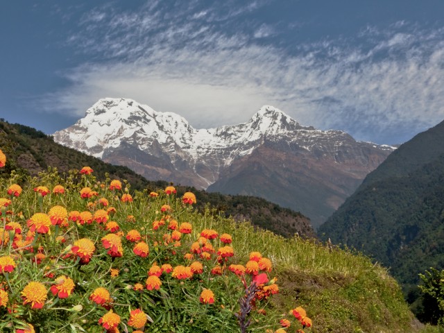 View of the Annapurna South from trek near Jhinu Danda